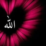 Fatima Mumin Mohamed - @fatimamuminmohamed - Instagram