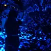 Fatima Munoz - @fatima.munoz7 - TikTok