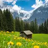 Fatima Murray - @fatima.murray - TikTok