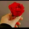 Fatima nasir - @fatimanasir111222 - TikTok