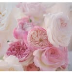Fatima Nasser - Facebook