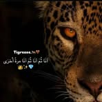 Fatima Nasser - Facebook