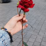 Fatima Nasser - Facebook