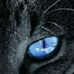 Fatima Nelson - Facebook