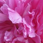 Fatima Oğuz - @fatimaoguz - Instagram