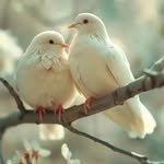 Fatima Omar - @fatima11.m_2009 - Instagram