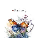 Fatima Omer - @fatimaomer031 - Instagram