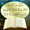 Fatima Omer - @fatima.omer43 - TikTok