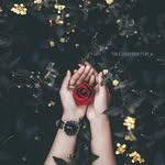 Fatima Omer - @fati.maomer - Instagram