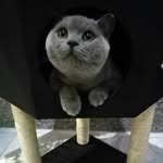 Fatima Parker - @fatima.parker002 - Instagram