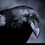 Fatima Pearson - @filmami75 - Instagram
