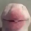 fatimahpowell - @fatimahpowell4 - TikTok