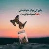 Fatima Rahimi - @fatimarahimi539 - TikTok