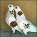 Fatima rahimi - Facebook