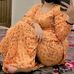 Fatima Rajput - Facebook