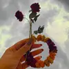 Fatima - @fatimarasheed2756 - TikTok