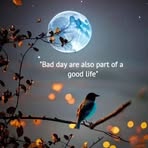Fatima Rasheed - Facebook