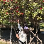 Fatima Rasheed - @fatiima.rasheed - Instagram