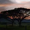 Fátima Ribeiro - @fatimaribeiro798 - TikTok