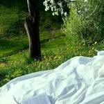 @fatimarichardsonova14847837 - Instagram