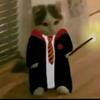 Fatima_malfoy_digorrig_riddle - @edits.povs.hp123 - TikTok