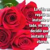 Fatima Rostran - @fatima.rostran35 - TikTok