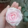 Fatima Roy - @fatimaroy7 - TikTok