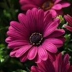 Fathima Rush - Facebook