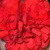 Fatmia alqurish - @fatimaalqrush - TikTok