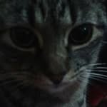 Fatima Russo - @fatima.russo.351 - Instagram