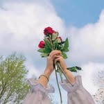 Fatima Saab - @fatima_sae3b - Instagram