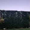 🩵fatima 🩵 - @fatima.said497 - TikTok