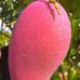 Fatima Said - Facebook