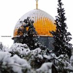Fatima Saïd - @fatimasaid657 - Instagram