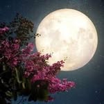 Fatima Saied - @fatima__said00 - Instagram