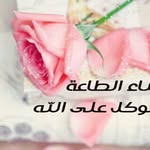fatima salim - @fatima7618 - Instagram