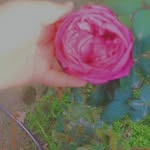 fatima sallah - @fs_7441 - Instagram