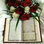 fatimasallah - @fatimasallah_ - Instagram