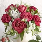 fatimasallah - @fatimasallah1 - Instagram