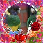 Fatima Schmidt - Facebook