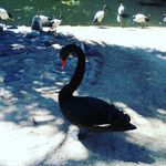 Fatima Scott - @fatima_scott2811 - Instagram