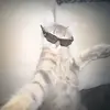 Fatima Scott - @fatima_scott - TikTok