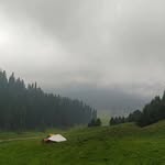 Fatima shafi - @fatimashafi758 - Instagram