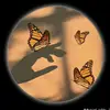 butterfly 🦋 - @fatimashahid899 - TikTok