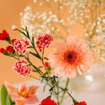 Fatima Shahid - Facebook