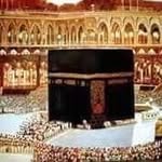 Fatima Shamsuddin - @fatemasamsuddin - Instagram