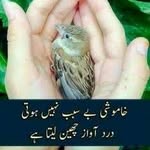 fatima shareef - @shareef278 - Instagram