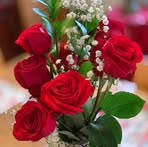 Fatima Shareef - Facebook