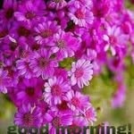 Fatima Shareef - @fatima.shareef.524 - Instagram