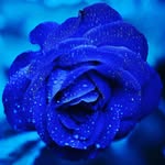 Fatima Shareef - @fatima.shareef.773 - Instagram